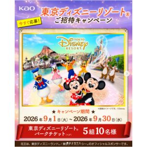 東京ディズニーリゾート パークチケット 他
