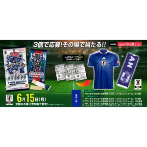 宮本恒靖氏サイン入りサッカー日本代表レプリカユニフォーム他