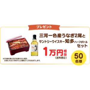 知多牛ステーキ400g＆知多ハーフボトルセット 他