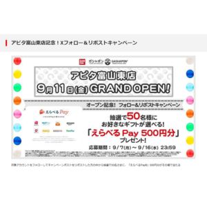 えらべるPay 500円分