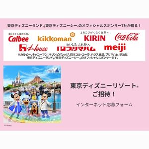 ディズニーリゾート・ペアパークチケット