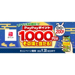 PayPayポイント 1,000円分