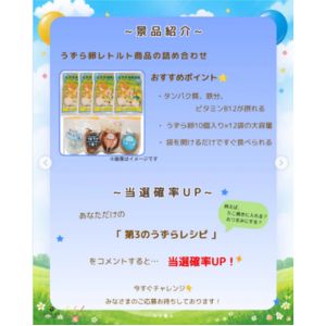 うずら卵レトルト商品 詰め合わせ