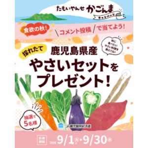 鹿児島県産 やさいセット
