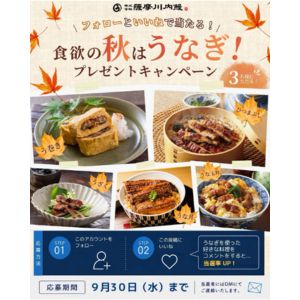 鹿児島県産 花うなぎ長蒲焼 2尾