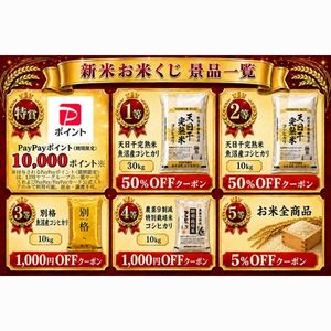 PayPayポイント1万円分 他
