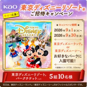 賞品画像：東京ディズニーリゾート パークチケット