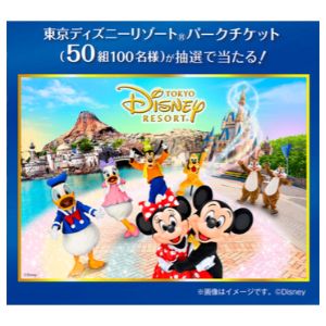 東京ディズニーリゾート パークチケット