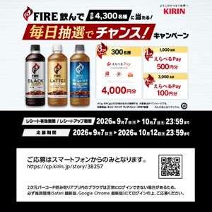 えらべるPay 最大4,000円分