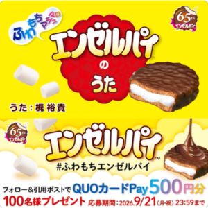 QUOカードPay500円分