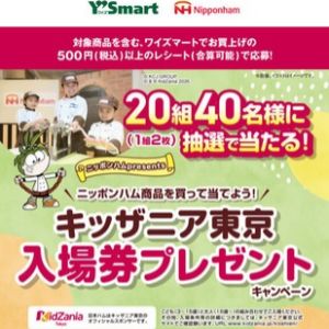 キッザニア東京 入場券