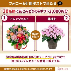花とみどりのeギフト 3,000円分