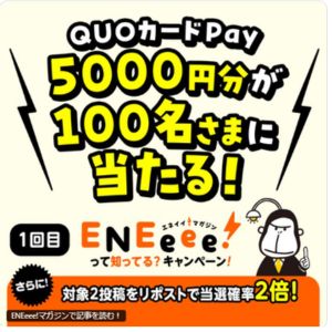 QUOカードPay5,000円分