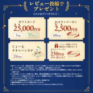 JAタウン ギフトカード2万5,000円分 他