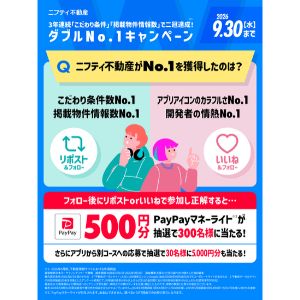 PayPayマネーライト500円分