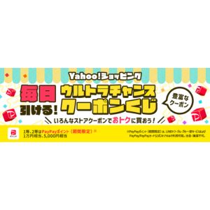 PayPayポイント1万円相当、5千円相当