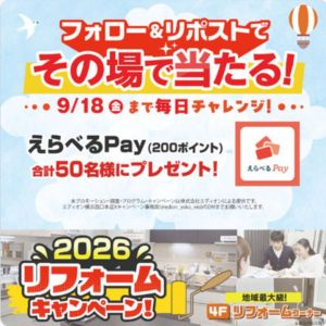 えらべるPay 200ポイント