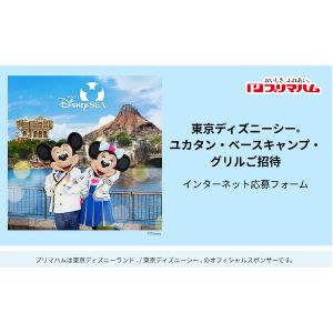 東京ディズニーシー1DAYパスポート4枚