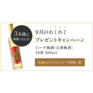 くぅーす梅酒(古酒梅酒)10度500ml