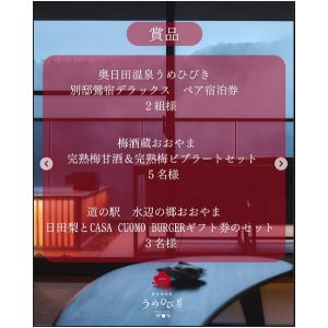 [大分]奥日田温泉うめひびき ペア無料ご宿泊券 他