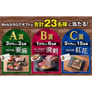 Webカタログギフト「美味百撰」3万円相当 他