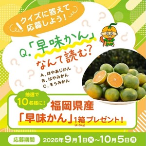 福岡県産早味かん1箱(4~5kg)