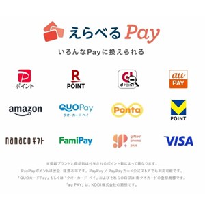 えらべるPay1,000円相当