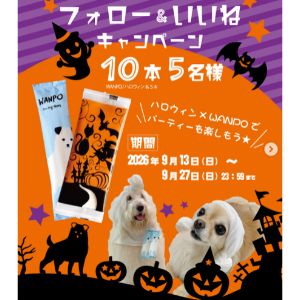 紙おしぼりWANPO＆ハロウィン紙おしぼり 計10本
