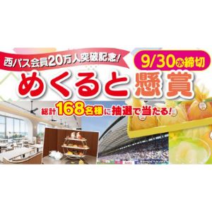 アビスパ福岡 ホームゲーム観戦ペアチケット 他
