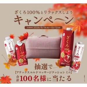ルルドマッサージクッション ミニ