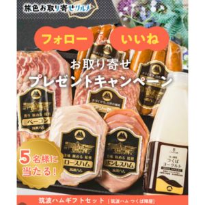 筑波ハム ギフトセット
