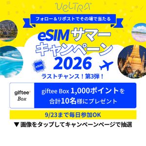gifteeBox1,000円分