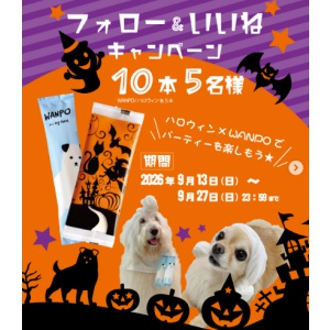 紙おしぼりWANPO5本＆ハロウィン紙おしぼり5本