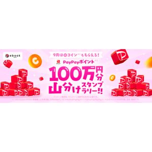 PayPayポイント総額100万円分山分け 他