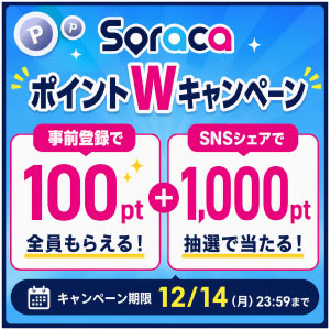 Soracaポイント100pt