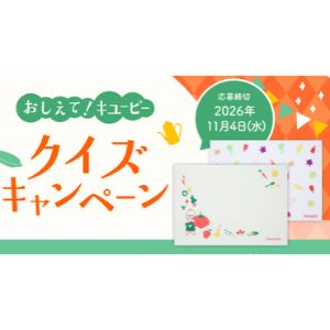 キユーピー ランチョンマット 2枚セット