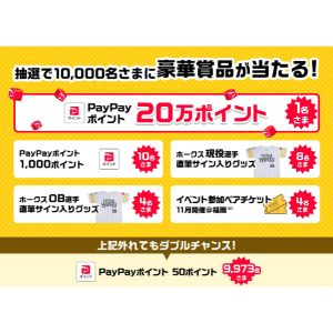 PayPayポイント 最大20万ポイント 他
