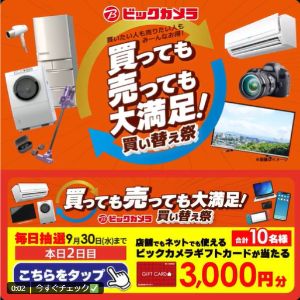 ビックカメラ ギフトカード 3,000円分
