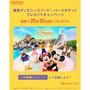 ディズニーリゾート・パークチケット