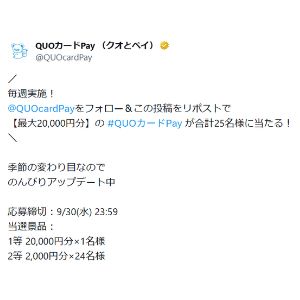 QUOカードPay 2万円分 他