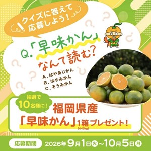 福岡県産「早味かん」