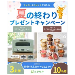 アラジン グラファイトトースター2枚焼き 他