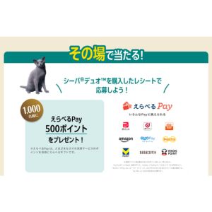 えらべるPay 500ポイント