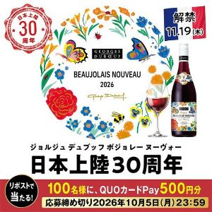 セブン-イレブン専用QUOカードPay500円分