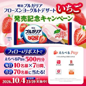 えらべるPay 500円分