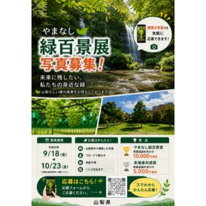 県産品詰め合わせ1万円相当 他