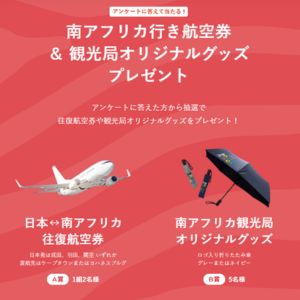 南アフリカ往復航空券 他