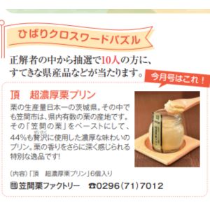 頂 超濃厚栗プリン