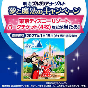 東京ディズニーリゾート®パークチケット 他