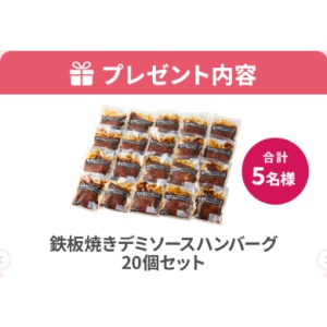 鉄板焼きデミソースハンバーグ 20個セット